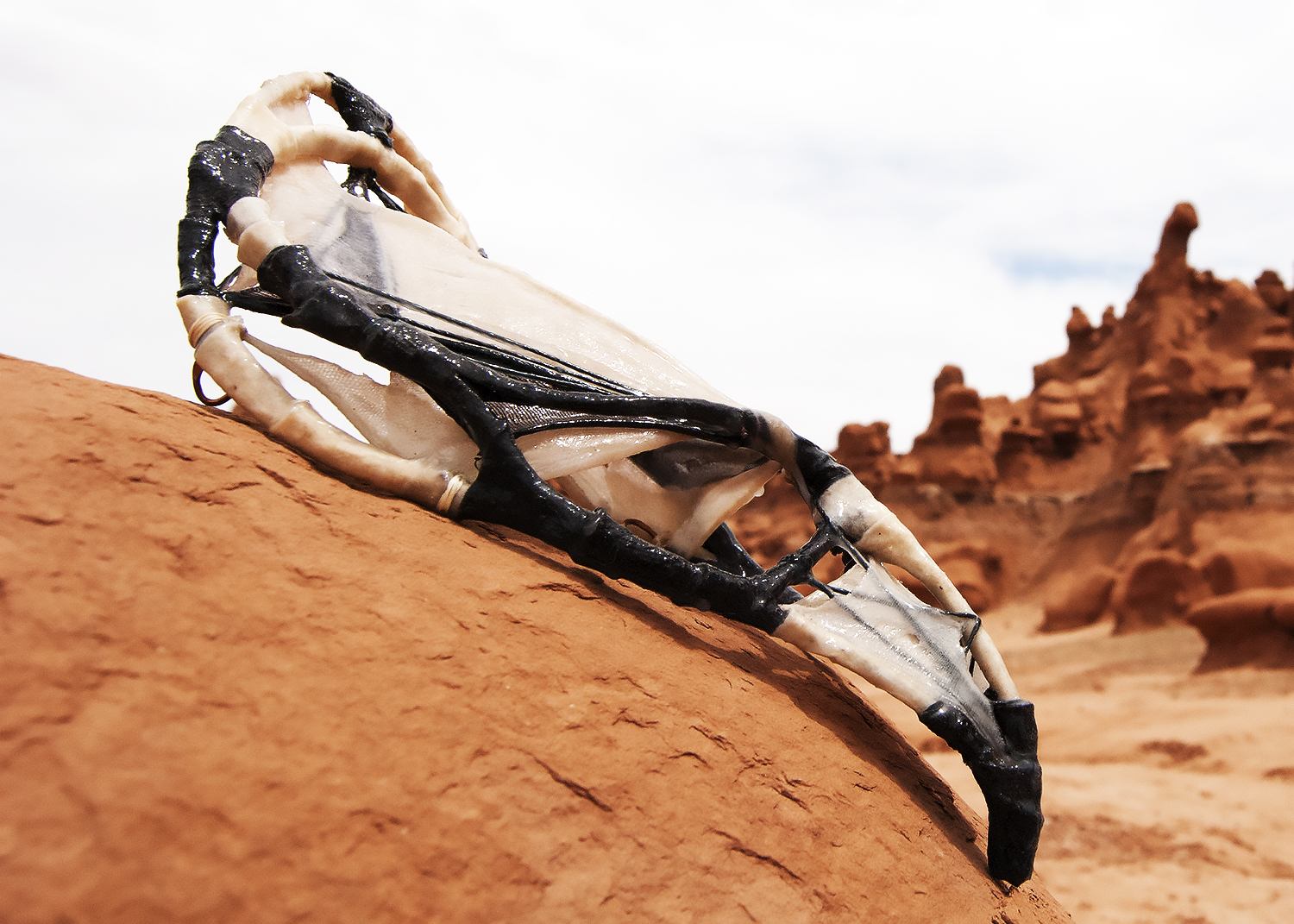 falcon mask_side 2_1500px.jpg