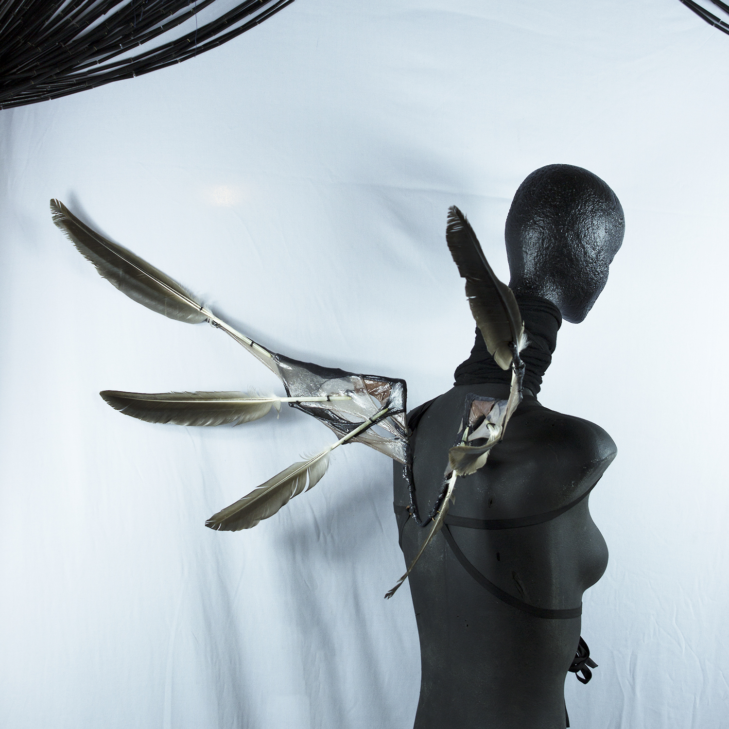 Masks_wings_goose feathers_angle back.jpg